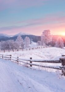 Winter country landscape with timber fence and snowy road into evergreen forest